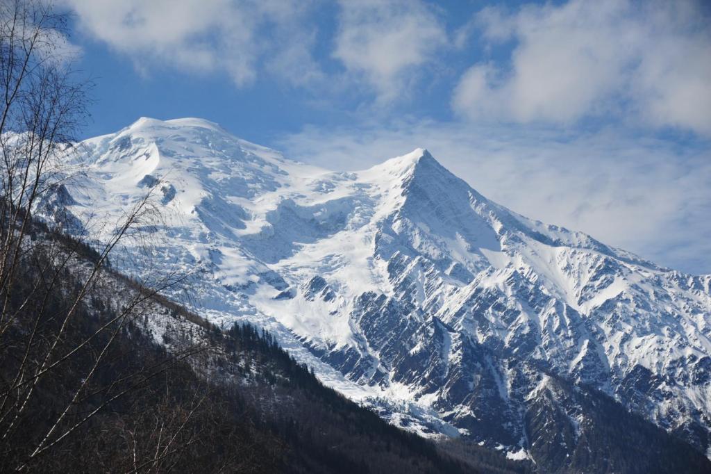 Mont Blanc Spa Chalet Bnb Chamonix Esterno foto